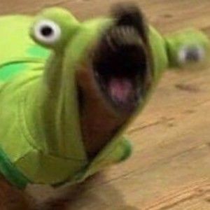 Meet your Posher, Drew